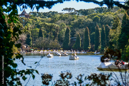 Swan-shaped pedal boats on Lago Negro in Gramado, Rio Grande do Sul, Brazil
