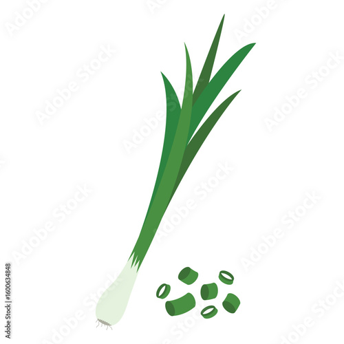 Young green onion clip art. Onion sprouts and chopped greens hand drawn illustration. Healthy organic food, vegan product, vector element
