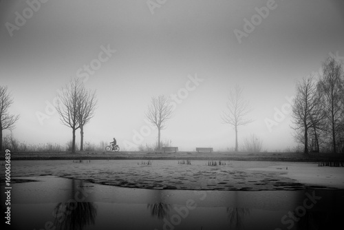 Foggy winter cycling scene