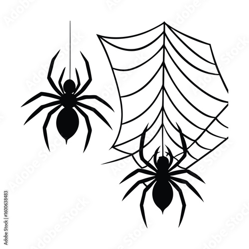 Two spiders hanging from web lines illustration