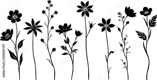 Silhouette Flower collection 