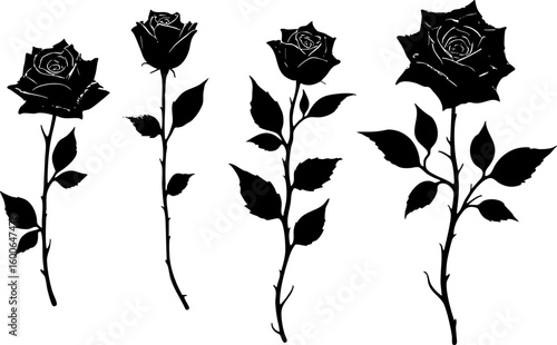 Modern horizontal black and white vignette incorporating a rose