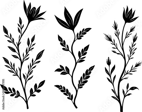 Silhouette Flower collection 