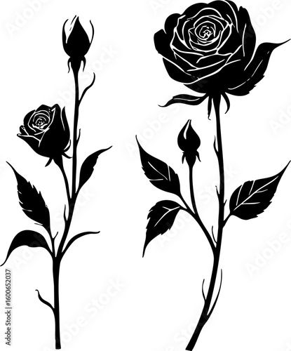 Modern horizontal black and white vignette incorporating a rose