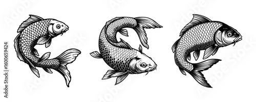 Japanese Koi Carp Fish - Vintage Engraving & Tattoo Art Set