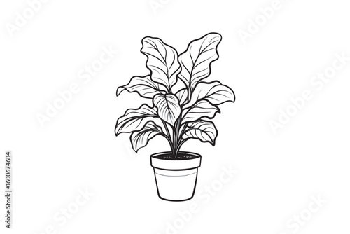 Elegant Fiddle Leaf Fig Plant in a Pot Black and White Line Art Minimalist Design Isolated on White Background, Art & illustration