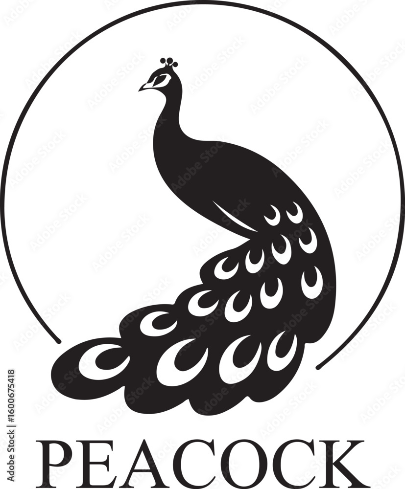 Fototapeta premium Peacock Silhouette Icon, Spread Feather Elegant Bird Vector, logotype Peacock art, Peacock black eps editable vector icon, black and white Peacock illustration on white background.