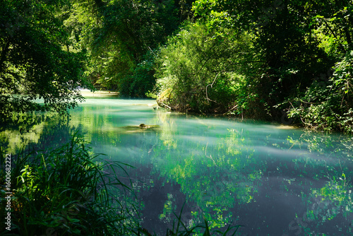 Clear water of Elsa river in a summer day, Colle Val d'Elsa, Tuscany, Italy