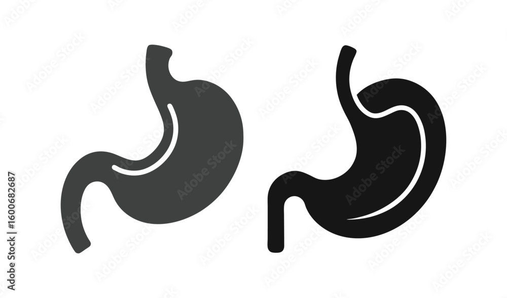 Two stylized illustrations of the human stomach Two stylized illustrations of the human stomach