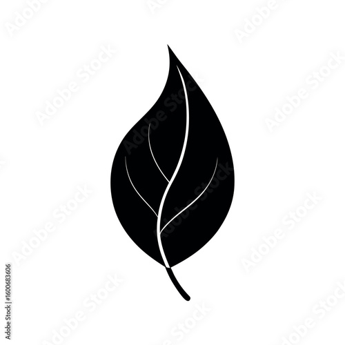 Single black leaf with natural curve and visible veins representing organic nature and clean design aesthetics