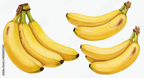 Realistic watercolor banana bunches on transparent background for food