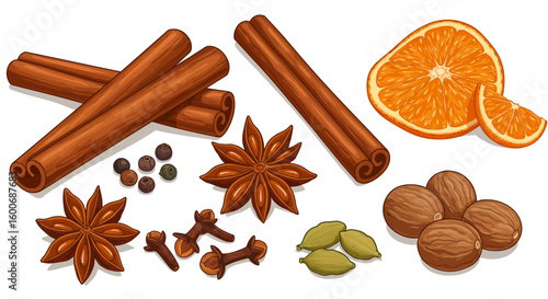 Cinnamon sticks and spices with orange slices in detailed realistic st