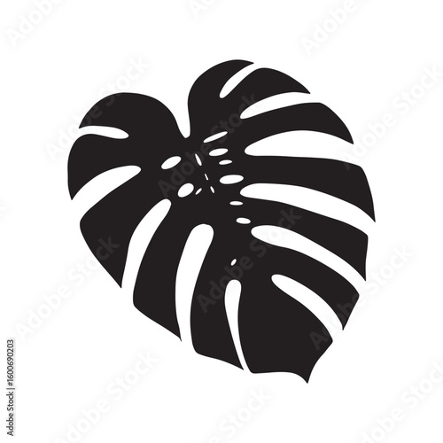 Tropical monstera deliciosa plant leaf illustration perfect for greeting cards flyers invitations and web design projects