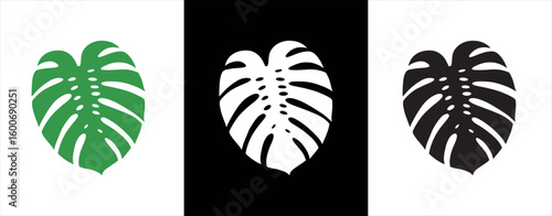 Tropical monstera deliciosa plant leaf design elements for greeting cards flyers and invitations
