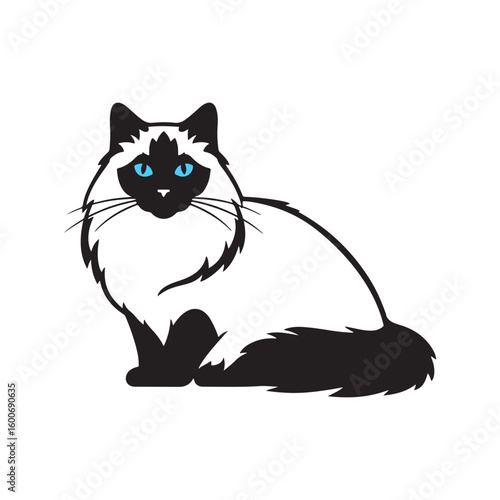 Charming ragdoll cat illustration in classic black and white perfect for pet lovers and design projects