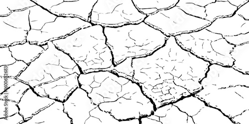 Black and white illustration of cracked, dry earth with deep fractures and irregular textures. Perfect for drought, desert, or environmental-themed designs and nature-inspired backgrounds.