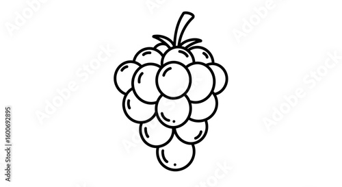 Grape Illustration: A simple yet elegant illustration of a cluster of fresh grapes, perfect for culinary projects or artistic designs.