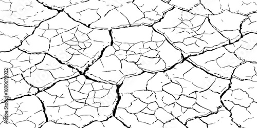 Black and white illustration of cracked, dry earth with deep fractures and irregular textures. Perfect for drought, desert, or environmental-themed designs and nature-inspired backgrounds.