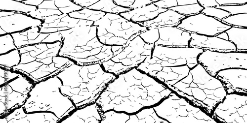 Black and white illustration of cracked, dry earth with deep fractures and irregular textures. Perfect for drought, desert, or environmental-themed designs and nature-inspired backgrounds.