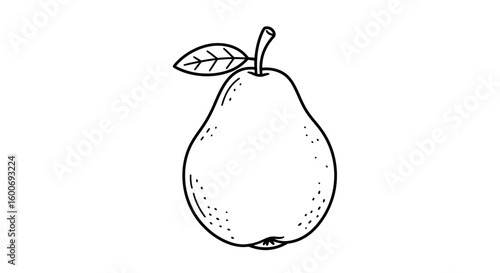 Sketch of a Pear: A simple, artistic line drawing of a ripe pear with a single leaf, showcasing the elegance of nature's bounty.