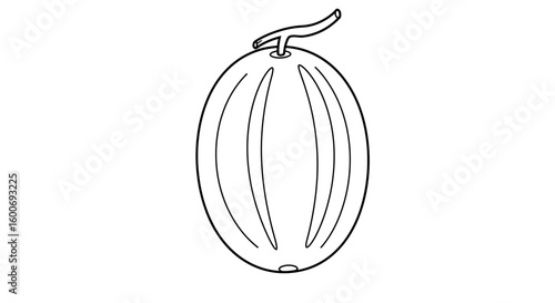 Melon Outline: A clean, simple, and detailed line art representation of a ripe melon, perfect for adding a touch of freshness and natural essence to any visual project.
