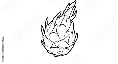 Dragon Fruit Contour: A meticulously drawn contour showcases the exotic dragon fruit. Its unique texture and form are highlighted against the simplicity, offering a clean aesthetic.