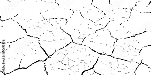 Black and white illustration of cracked, dry earth with deep fractures and irregular textures. Perfect for drought, desert, or environmental-themed designs and nature-inspired backgrounds.