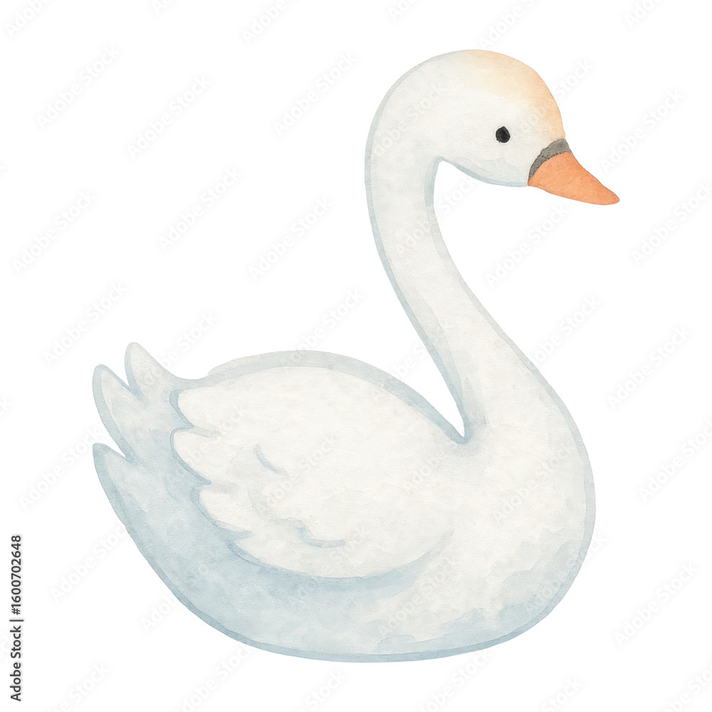 Obraz premium PNG Elegant watercolor swan illustration.