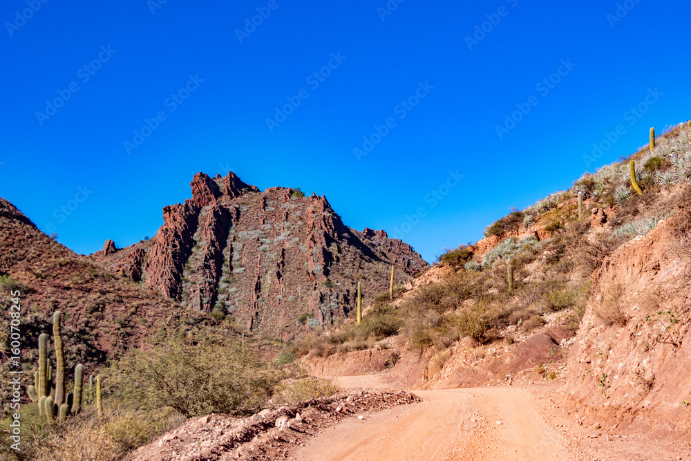 Fototapeta premium Vast and rugged desert landscape with a dusty road leading into the distant mountains of the Argentine Andes.