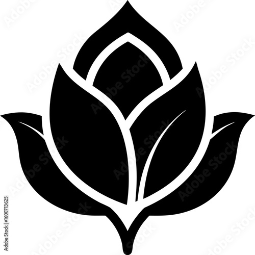 Unopened Flower Bud Before Blooming Silhouette