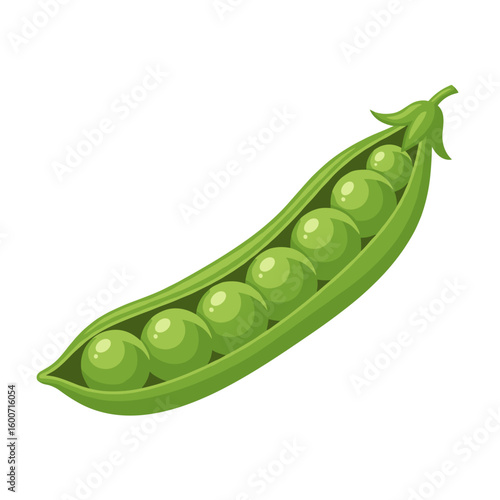 Green pea pod with fresh peas in a simple, vibrant illustration on isolated background 