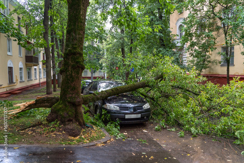  Fallen tree blocking street, with branches covering parked car, illustrating aftermath of storm in urban environment.