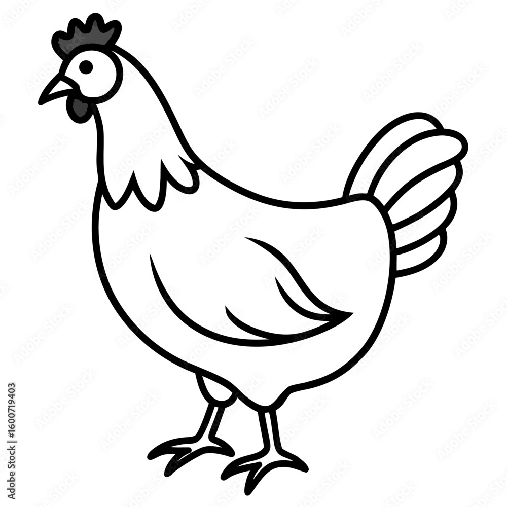 Fototapeta premium Chicken