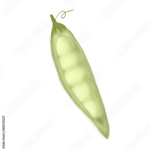 Green pea 