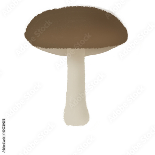 Brown mushroom