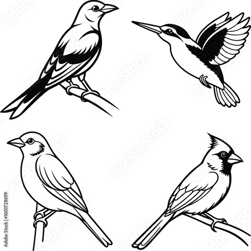Set of Birds  Democratic Republic of the Congo and Birds, Bird Icons


