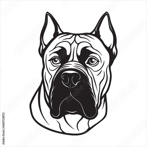 Cane Corso Command: Unwavering Strength & Regal Authority