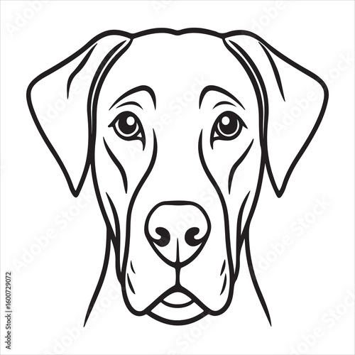 Rhodesian Ridgeback Reign: Unwavering Loyalty & Striking Presence