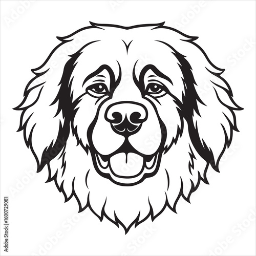 Newfoundland Nobility: Majestic Presence & Unwavering Devotion