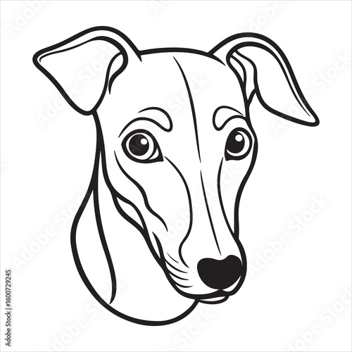 Whippet Wonders: Unveiling the Artistry of the Miniature Greyhound