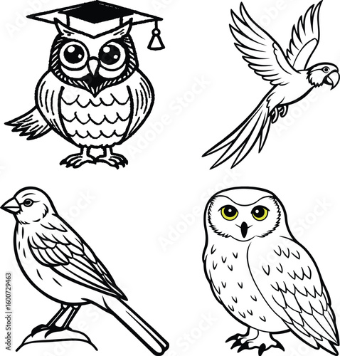 Set of Birds  Democratic Republic of the Congo and Birds, Bird Icons


