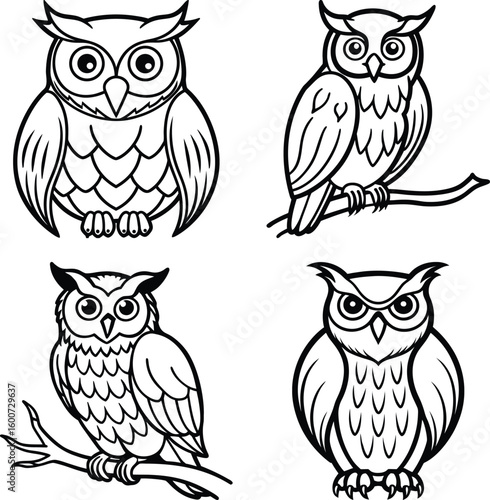 Set of Birds  Democratic Republic of the Congo and Birds, Bird Icons


