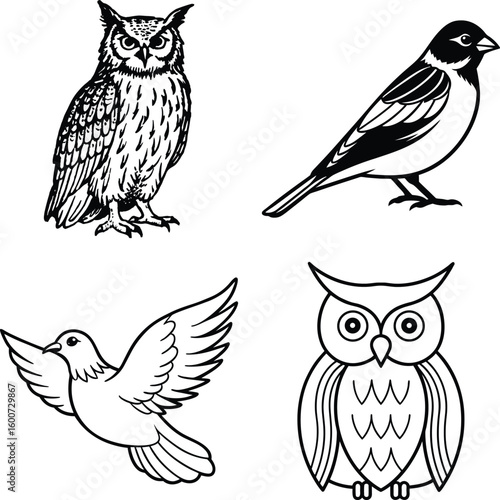 Set of Birds  Democratic Republic of the Congo and Birds, Bird Icons


