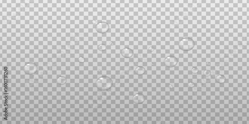 Realistic drops on isolated transparent background.
