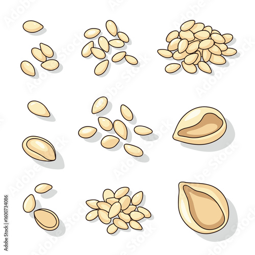 Tiny edible seeds used in baking and cooking for flavor and texture