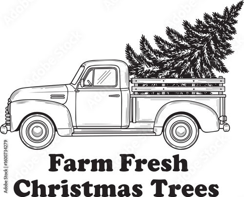 Vintage truck carrying evergreen tree christmas