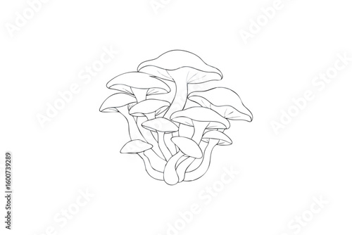 Outline Drawing of a Cluster of Mushrooms Perfect for Coloring Books or Botanical Illustrations and Nature Inspired Design Projects