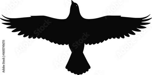 Vector Birds Silhouette in Flight Over Nature Landscape