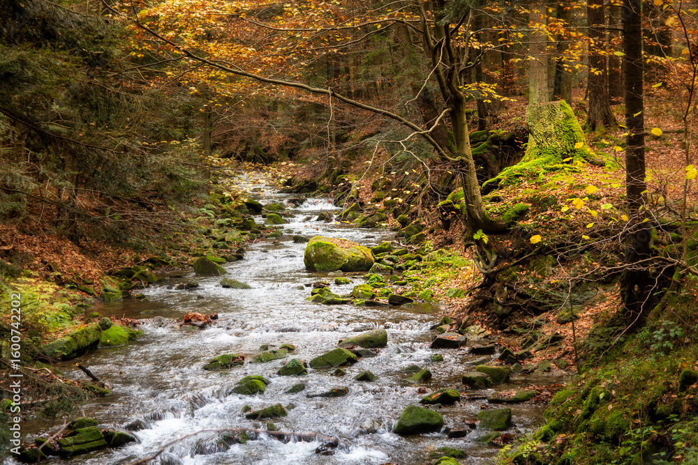 Obraz premium Serene mossy stream along Ferdel hiking trail in Low Beskid (Beskid Niski), Magurski National Park – a peaceful autumn forest escape with flowing river (water), rocks, and vibrant nature
