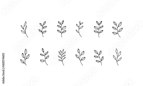 Thin Botanical Stems. These thin botanical stems appear in a refined vertical composition using a light outline and gentle hand drawn lines.